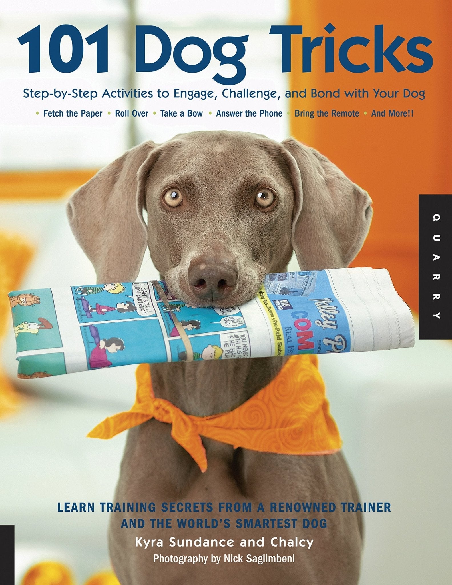 101 Dog Tricks – Step - by - Step Activities Fun Training · Strengthen Bond & Mental Stimulation - Fenidog