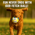 3 crazy squeaky balls for your furry friend with fun designs - Fenidog