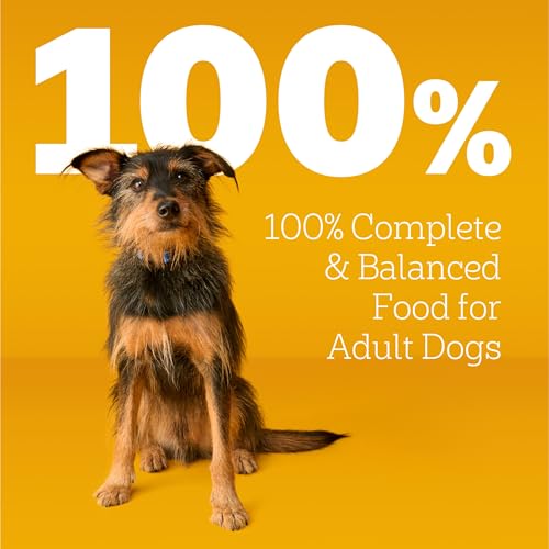 Pedigree Complete Nutrition Adult Dry Dog Food, Roasted Chicken & Vegetable Flavor, 30 lb. Bag