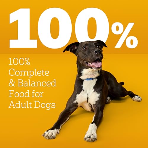 Pedigree High Protein Adult Dry Dog Food Beef and Lamb Flavor Dog Kibble, 18 lb. Bag