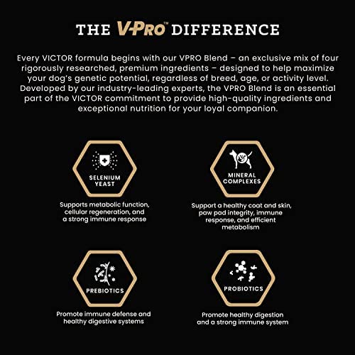 Victor Dog Food – 40 lb – Hi-Pro Plus, Multi-Meat Blend Premium Kibble · 30% Protein · For Active Dogs & Puppies