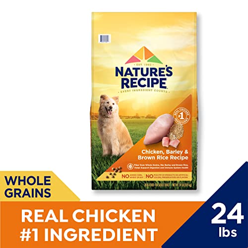 Nature′s Recipe Chicken, Barley & Brown Rice Recipe Dry Dog Food, 24 lb. Bag
