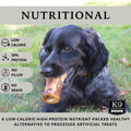 K9 Connoisseur Goliath Marrow Bone – Single-Ingredient Treat for Large Dogs Over 50 lbs (1-Pack, USA Made)