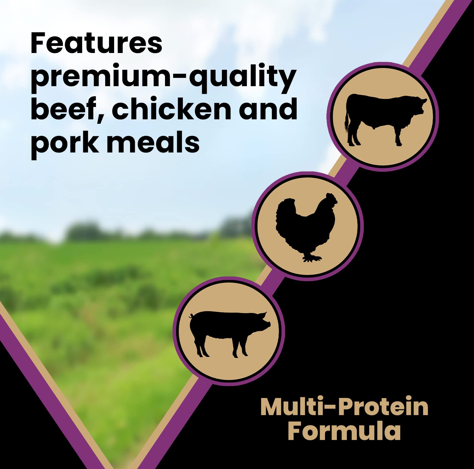 Victor Dog Food – 40 lb – Beef, Chicken & Pork Blend Premium Kibble · 26% Protein · For Active Dogs & Puppies