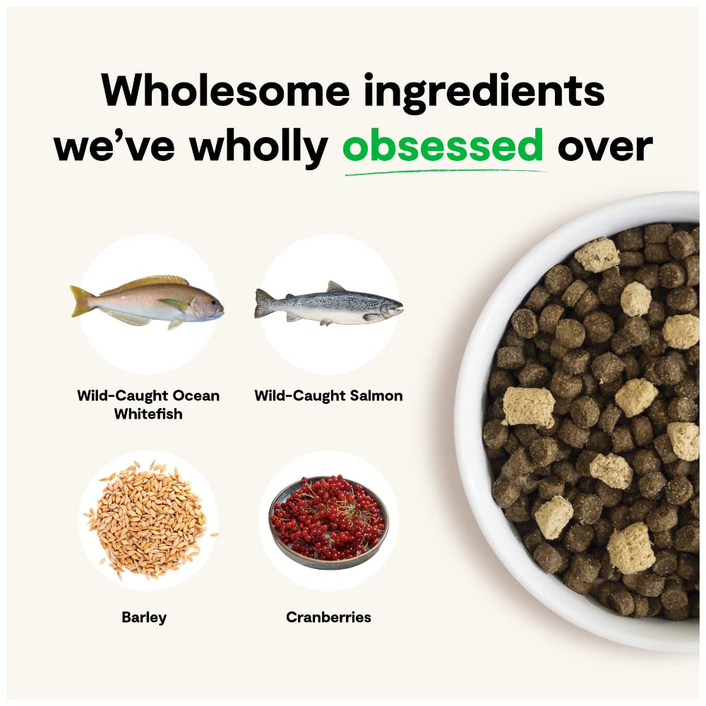 Open Farm Dog Food – 20 lb – RawMix Salmon, Whitefish & Rockfish Ancient Grains · Bone Broth Coated · Freeze-Dried Raw Chunks