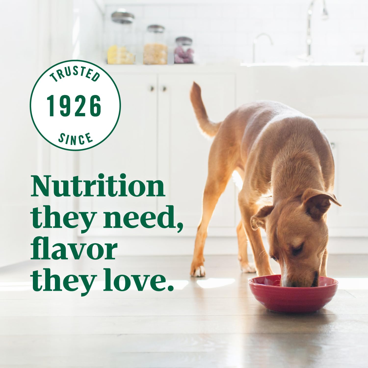 Nutro Ultra Dog Food – 30 lb – Chicken, Lamb & Salmon Trio of Proteins · For Adult Dogs
