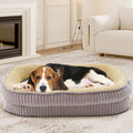 DEBANG HOME Orthopedic Dog Bed – Medium, Foam Support, Washable, Non-Slip, Oval Bolster