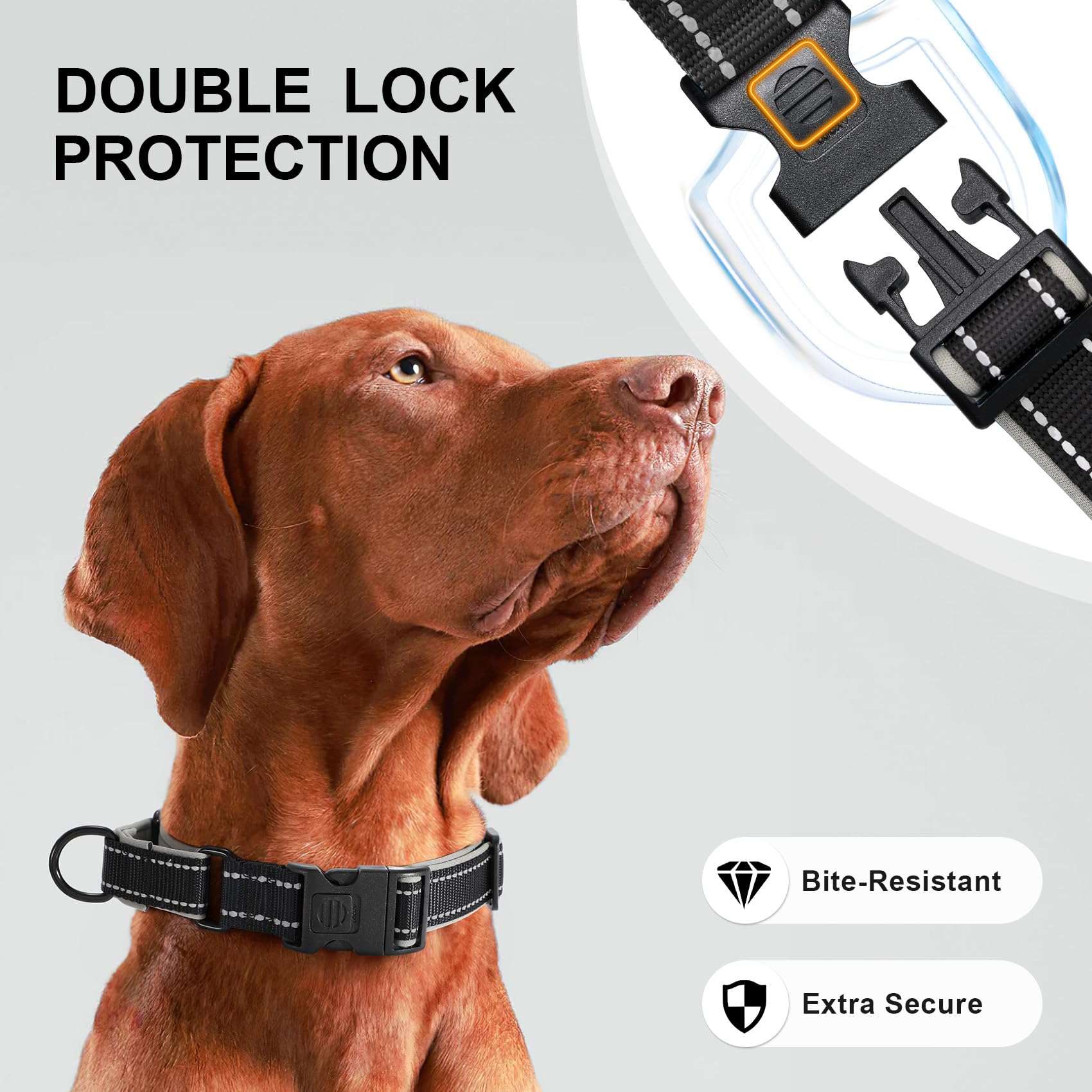 Airtag Dog Collar – Waterproof Reflective Martingale Collar with Padded Nylon & Holder