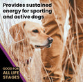Victor Dog Food – 40 lb – Beef, Chicken & Pork Blend Premium Kibble · 26% Protein · For Active Dogs & Puppies