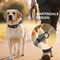 Airtag Dog Collar – Waterproof Reflective Martingale Collar with Padded Nylon & Holder