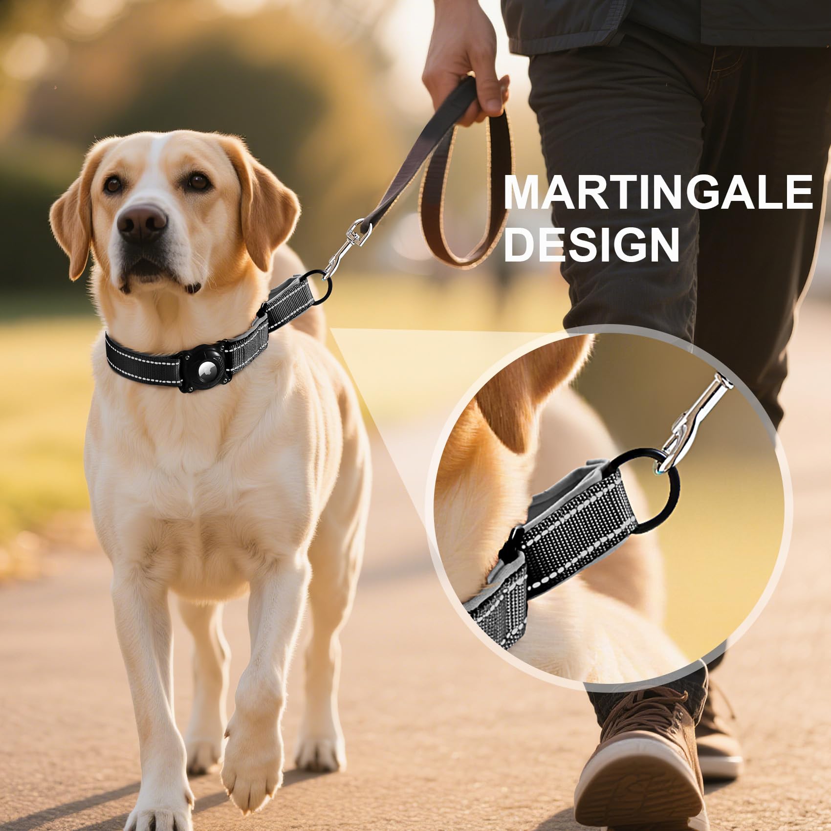 Airtag Dog Collar – Waterproof Reflective Martingale Collar with Padded Nylon & Holder