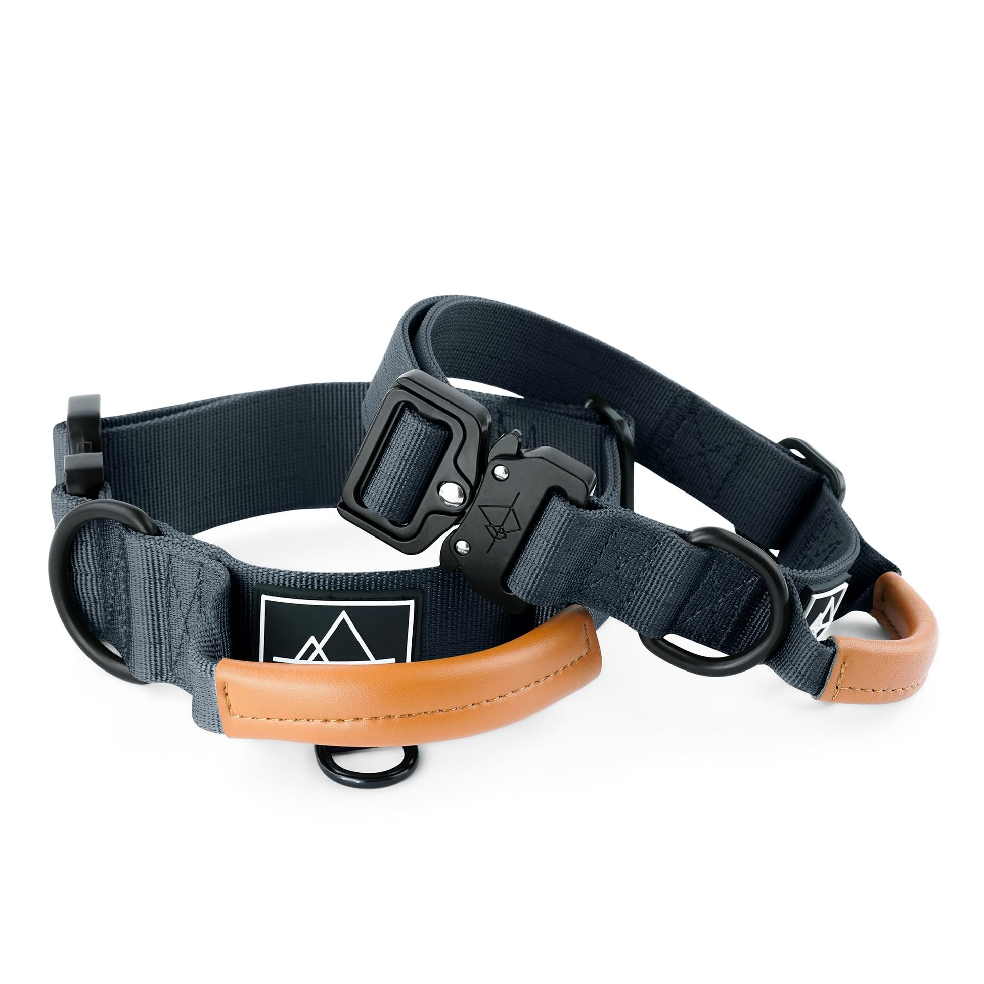 Made to ROAM Explorer Dog Collar – Heavy-Duty Nylon with Handle & Metal Buckle (Size 4, Afterlight)