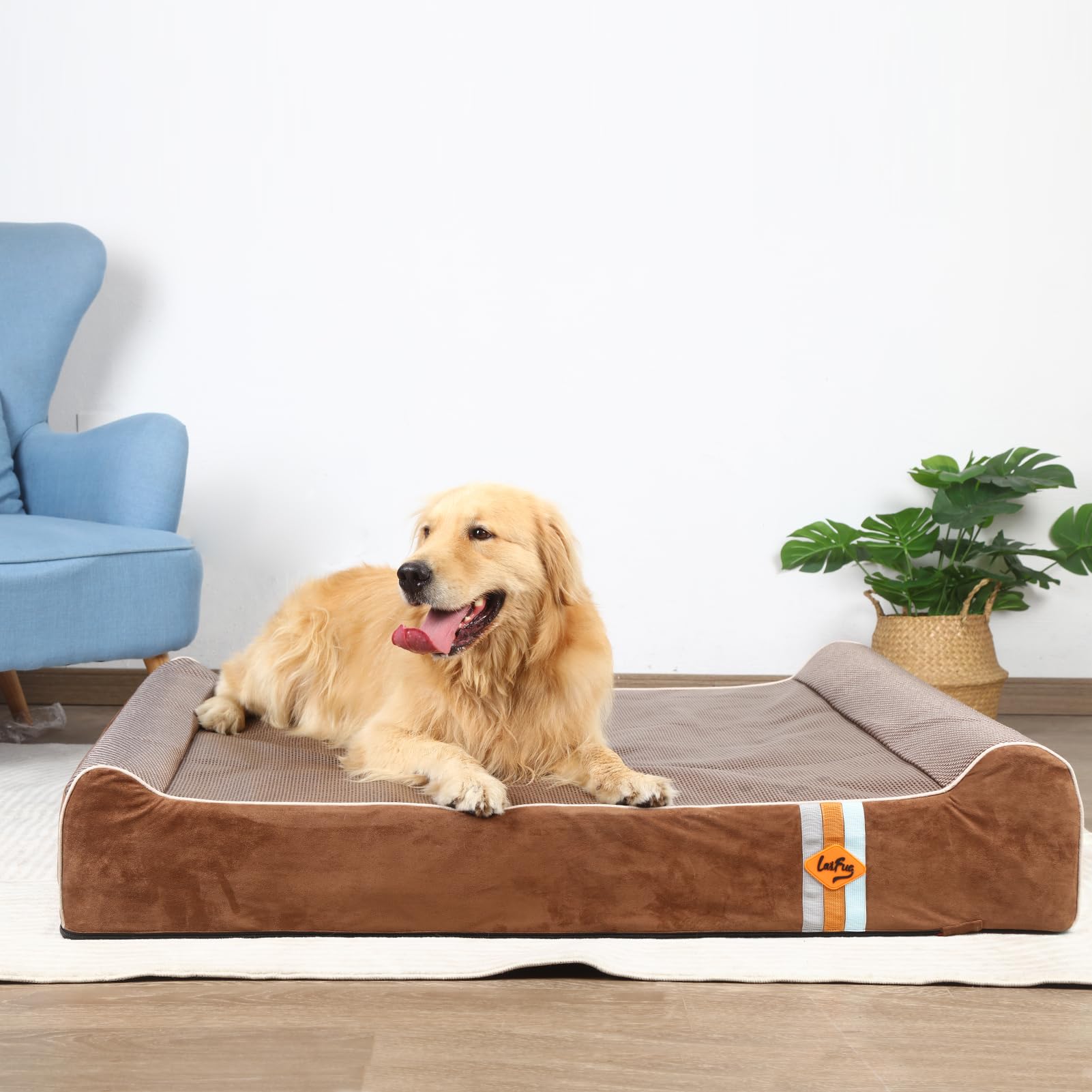Laifug Dog Bed – XL 50”x36” – 10” Orthopedic Memory Foam Waterproof Liner · Washable Cover · Smart Pillow Design