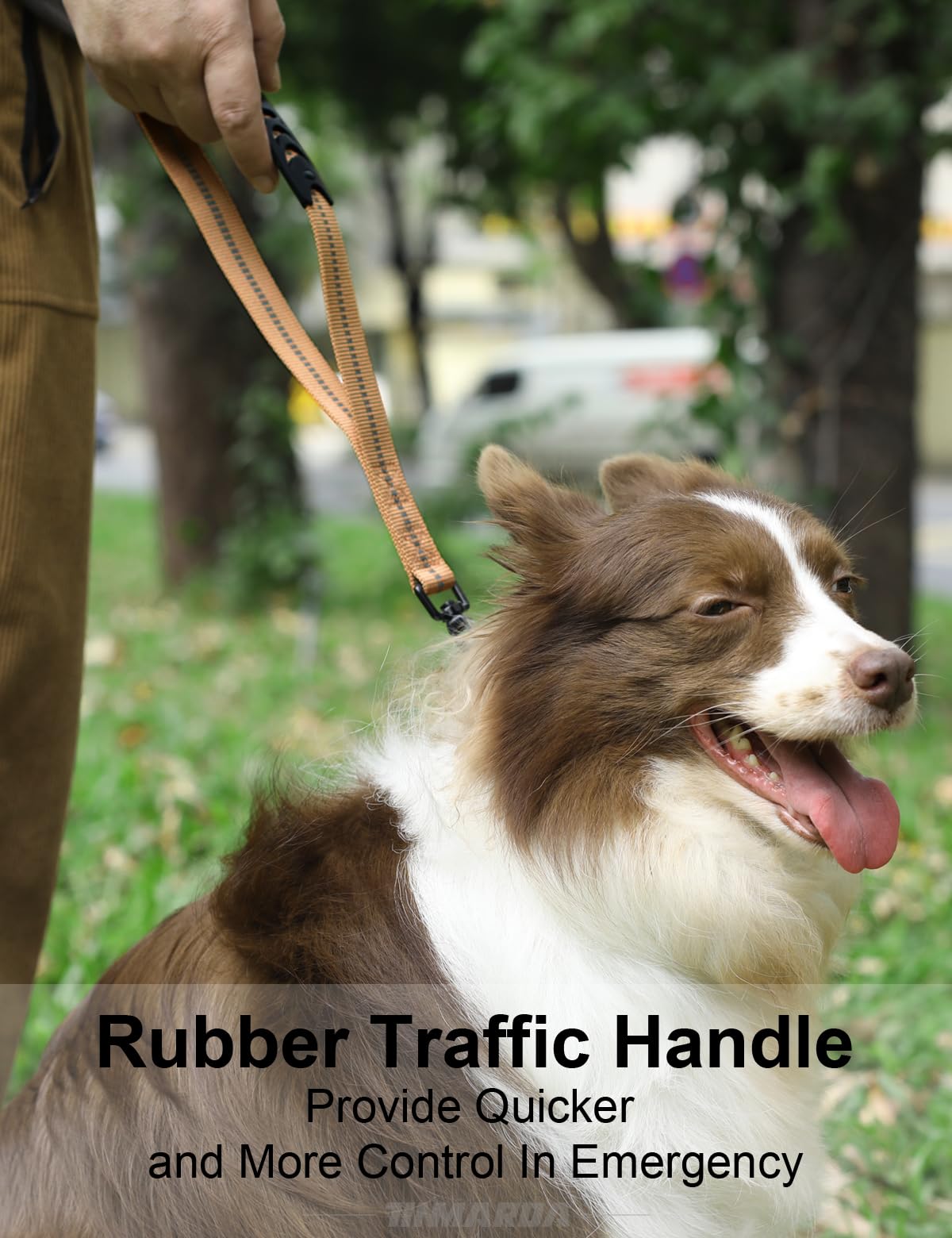 TINMARDA Shock-Absorbing Dog Leash – 4–6ft No-Pull Lead with Padded Handles & Metal Clip (Coyote Brown)