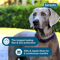 Seresto Large Dog Collar – 8-Month Flea & Tick Protection for Dogs Over 18 lbs