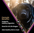 Victor Dog Food – 40 lb – Beef, Chicken & Pork Blend Premium Kibble · 26% Protein · For Active Dogs & Puppies