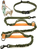 Pet Dreamland Hands-Free Dog Leash – Waist Belt Lead for Large Dogs (Khaki & Orange)