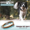 ADITYNA Cotton Dog Collar – With AirTag Holder & Metal Buckle (Ocean Breeze, 15–21”)