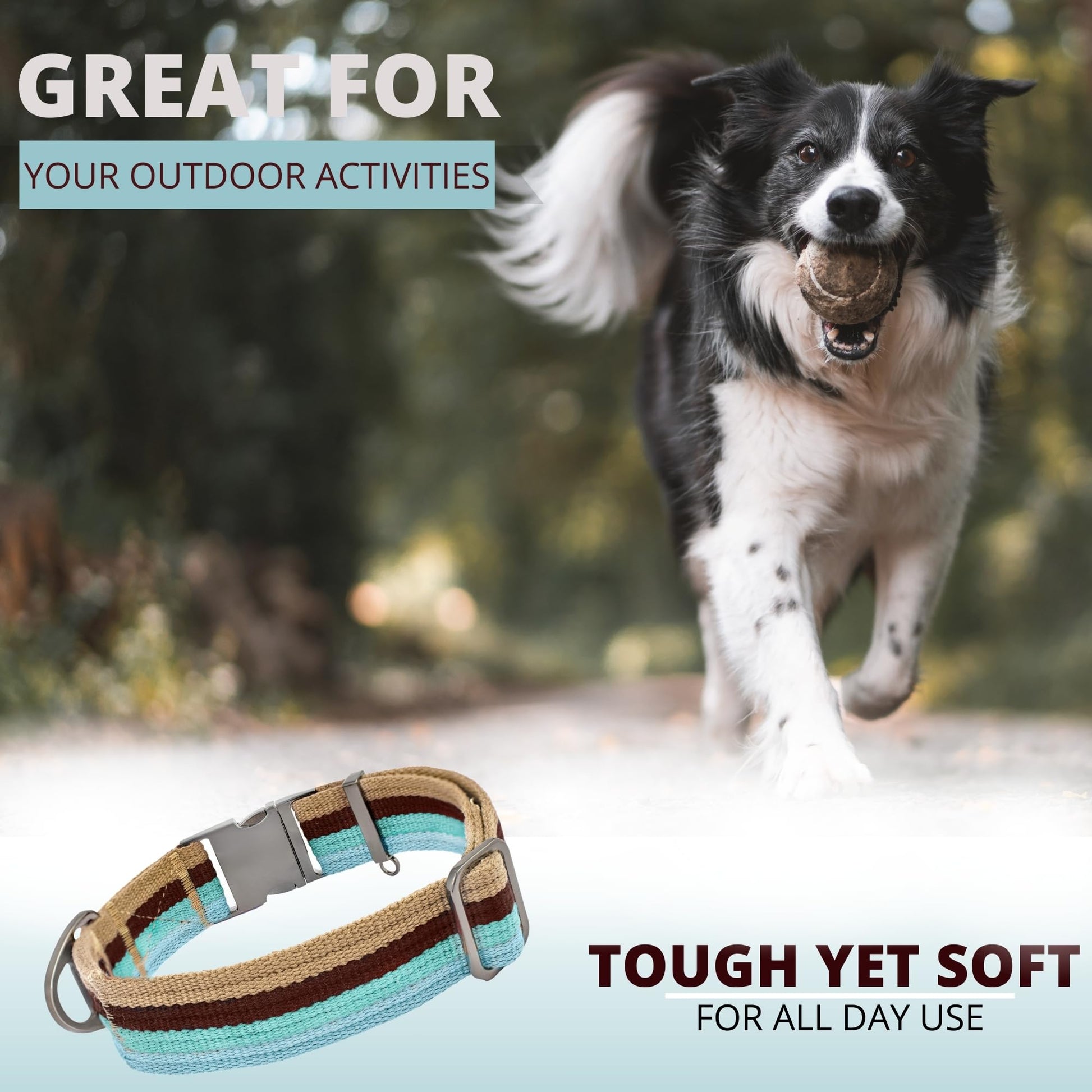 ADITYNA Cotton Dog Collar – With AirTag Holder & Metal Buckle (Ocean Breeze, 15–21”)
