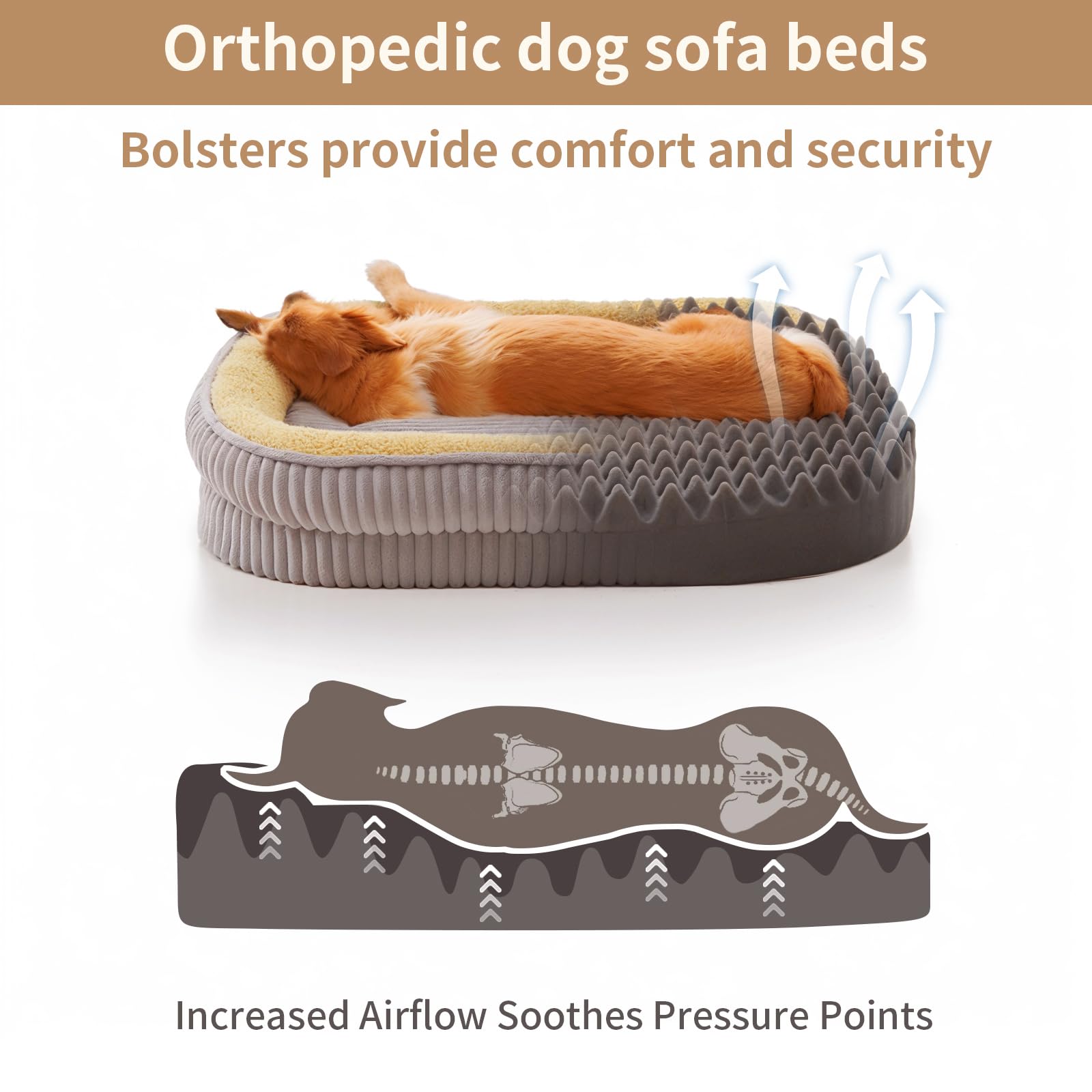 DEBANG HOME Orthopedic Dog Bed – Medium, Foam Support, Washable, Non-Slip, Oval Bolster