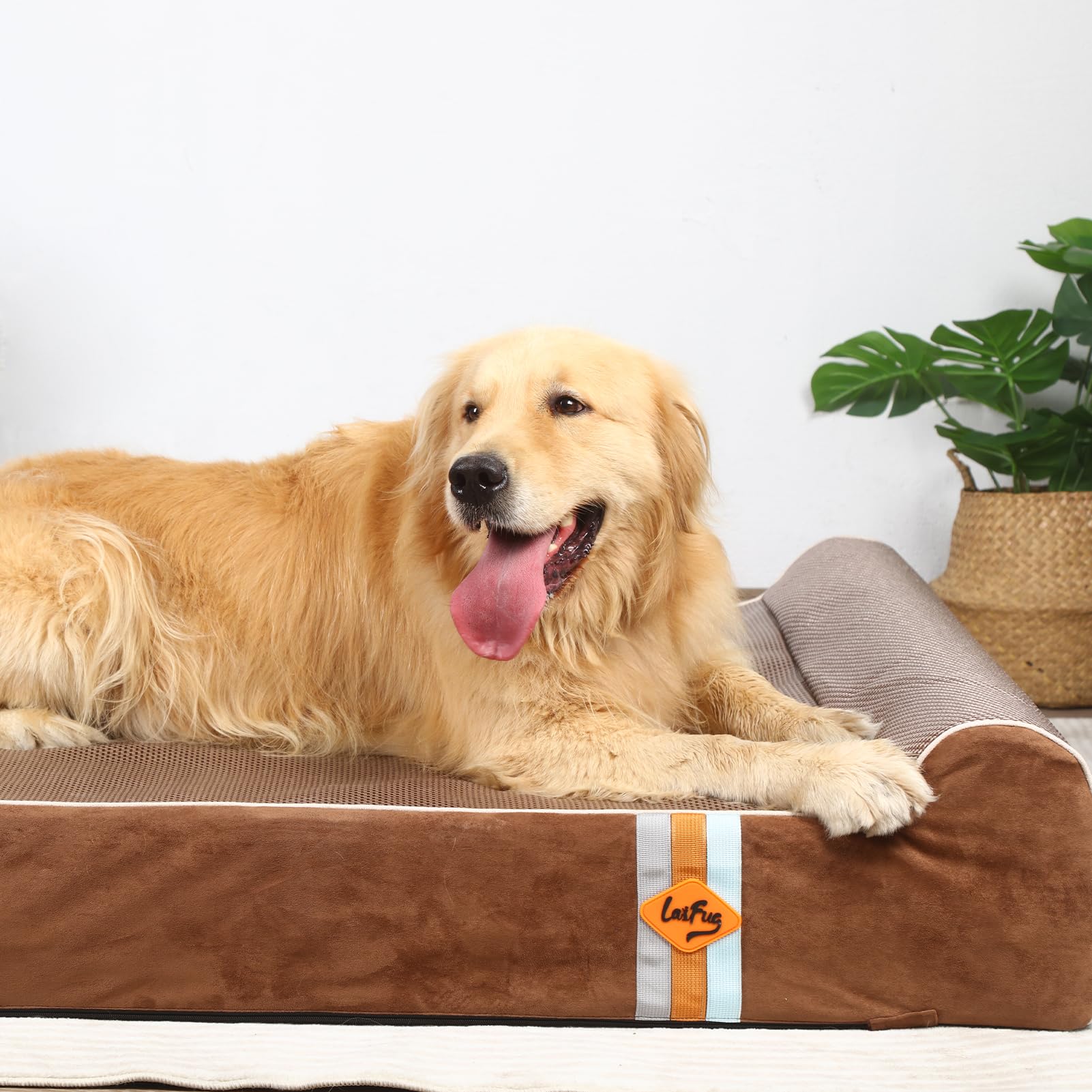 Laifug Dog Bed – XL 50”x36” – 10” Orthopedic Memory Foam Waterproof Liner · Washable Cover · Smart Pillow Design