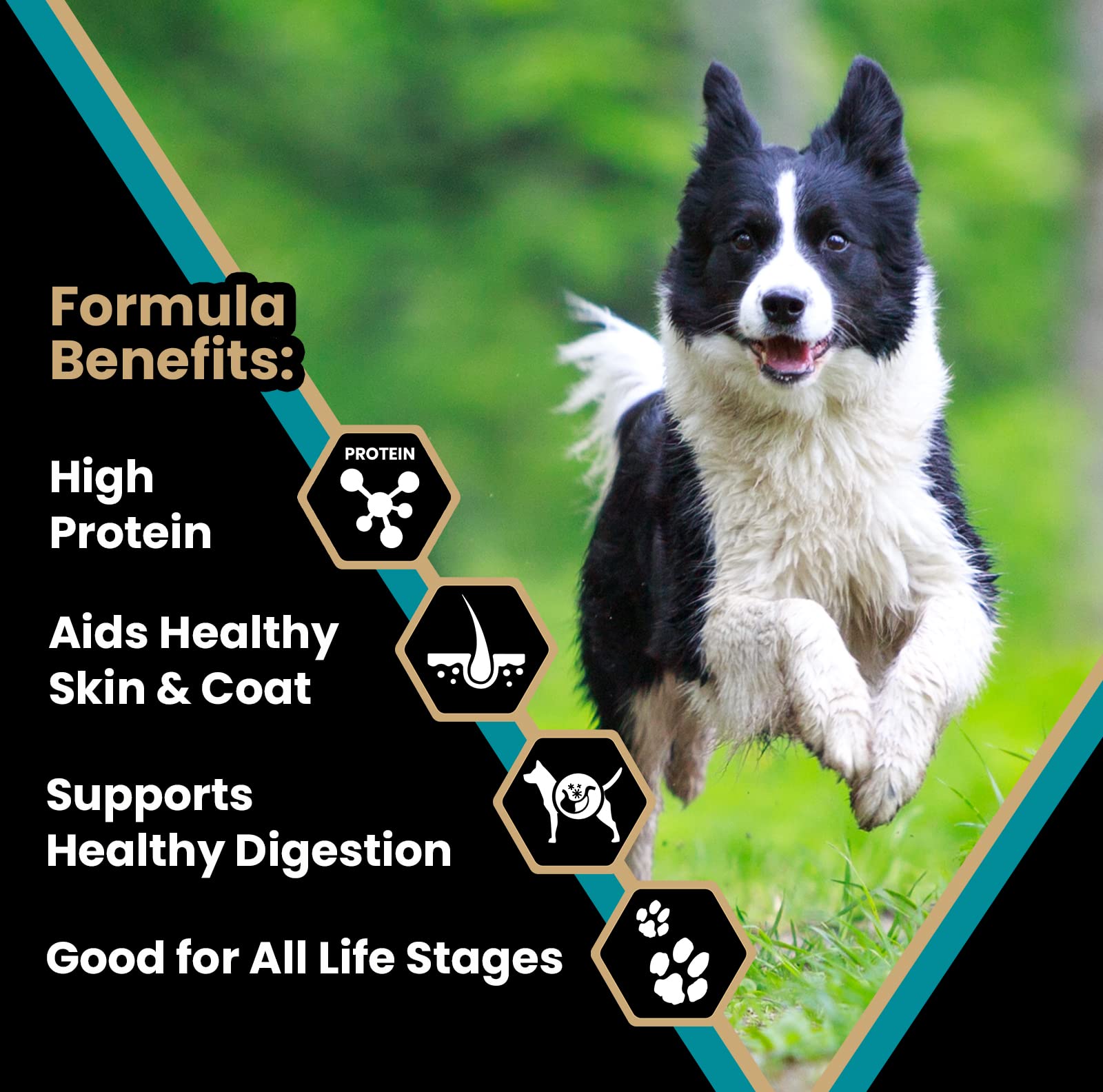 Victor Dog Food – 40 lb – Hi-Pro Plus, Multi-Meat Blend Premium Kibble · 30% Protein · For Active Dogs & Puppies