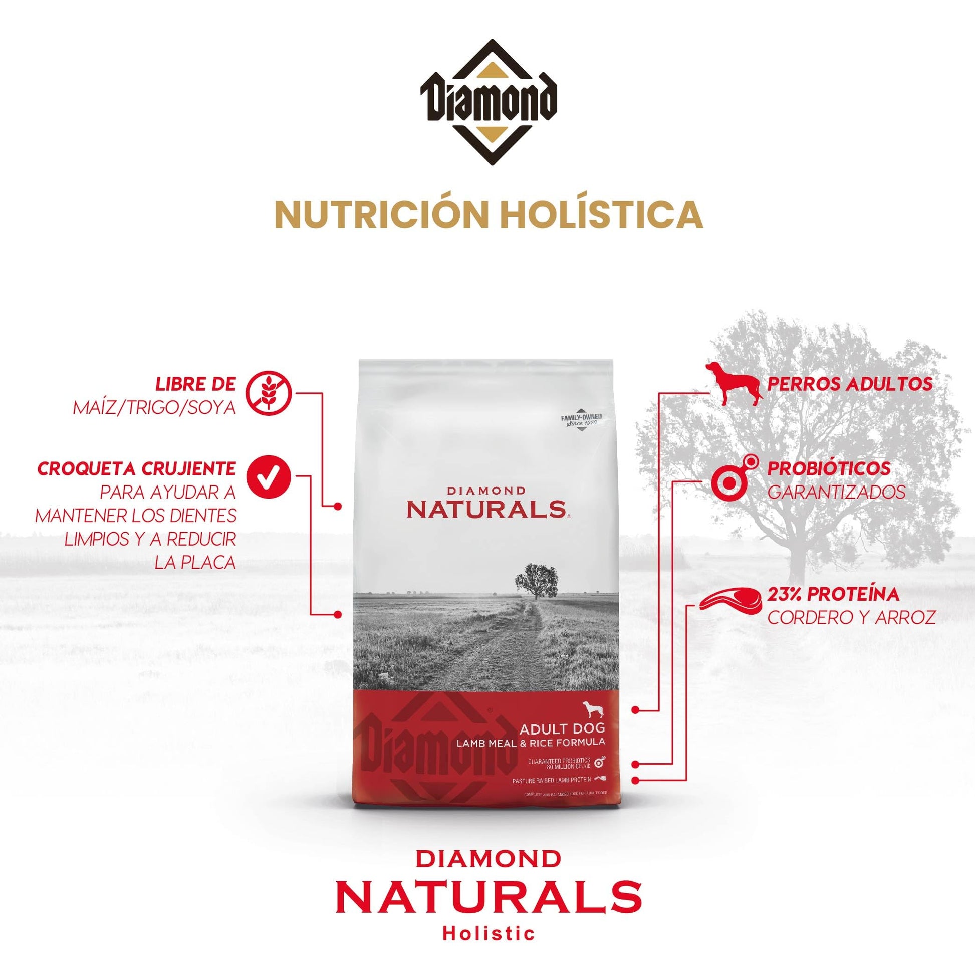 Diamond Naturals Adult Real Meat Recipe Premium Dry Dog Food With Real Pasture Raised Lamb Protein 40Lb