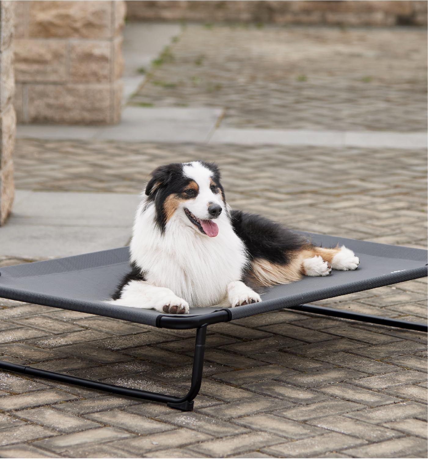 Made4Pets Dog Bed – Large 42”x28” – Elevated & Cooling Chew-Resistant · Washable Mesh · Indoor/Outdoor Use