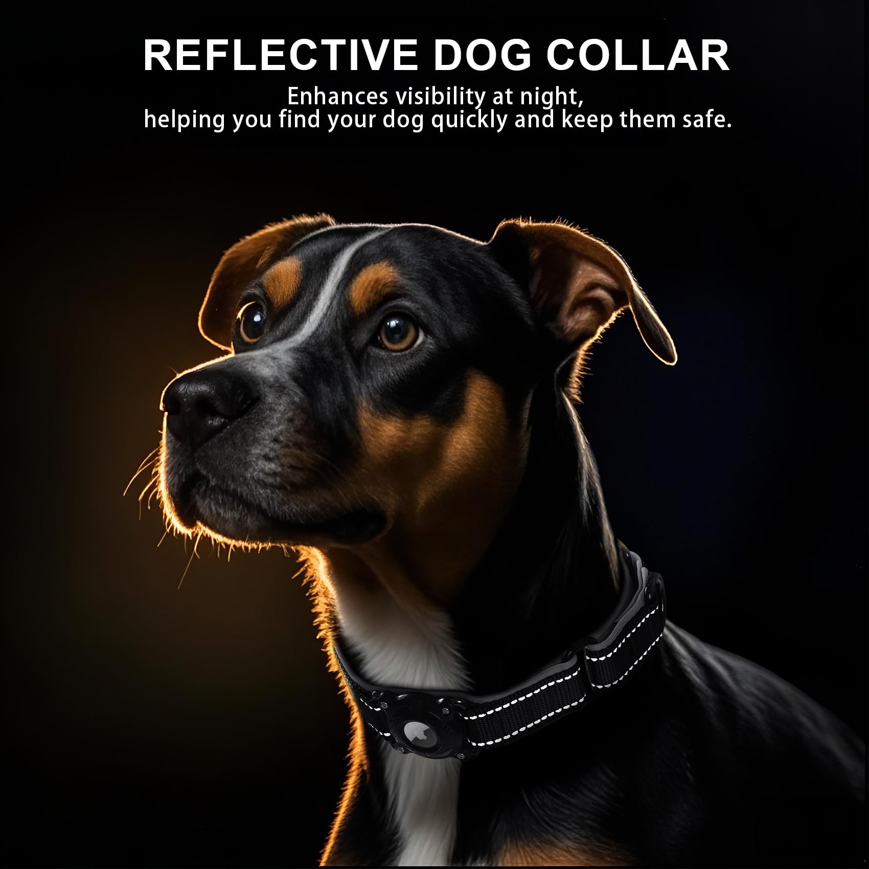 Airtag Dog Collar – Waterproof Reflective Martingale Collar with Padded Nylon & Holder