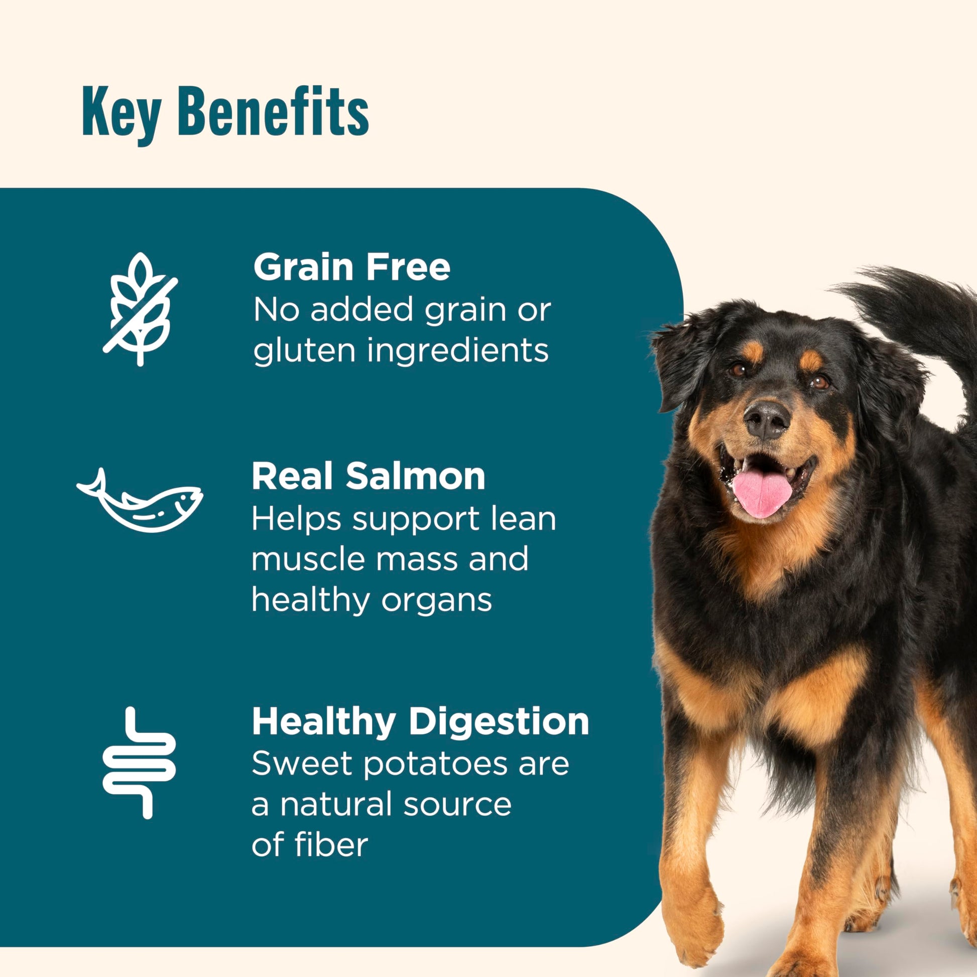 Nutrish Grain Free Dry Dog Food, Salmon & Sweet Potato Recipe, 23 lb. Bag (Rachael Ray)