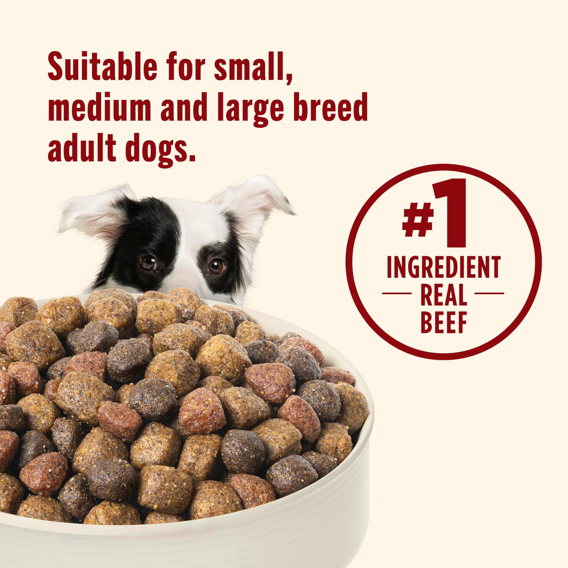 Nutrish Dog Food – 28 lb – Beef, Pea & Brown Rice Whole Health Blend · Real Beef Recipe
