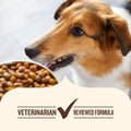 Nutrish Grain Free Dry Dog Food, Salmon & Sweet Potato Recipe, 23 lb. Bag (Rachael Ray)
