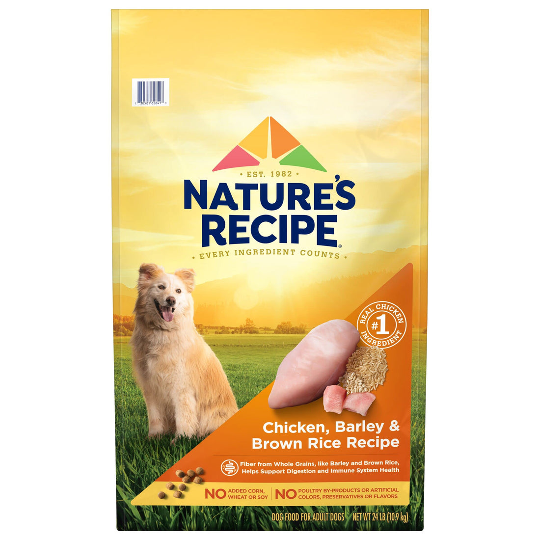 Nature′s Recipe Chicken, Barley & Brown Rice Recipe Dry Dog Food, 24 lb. Bag