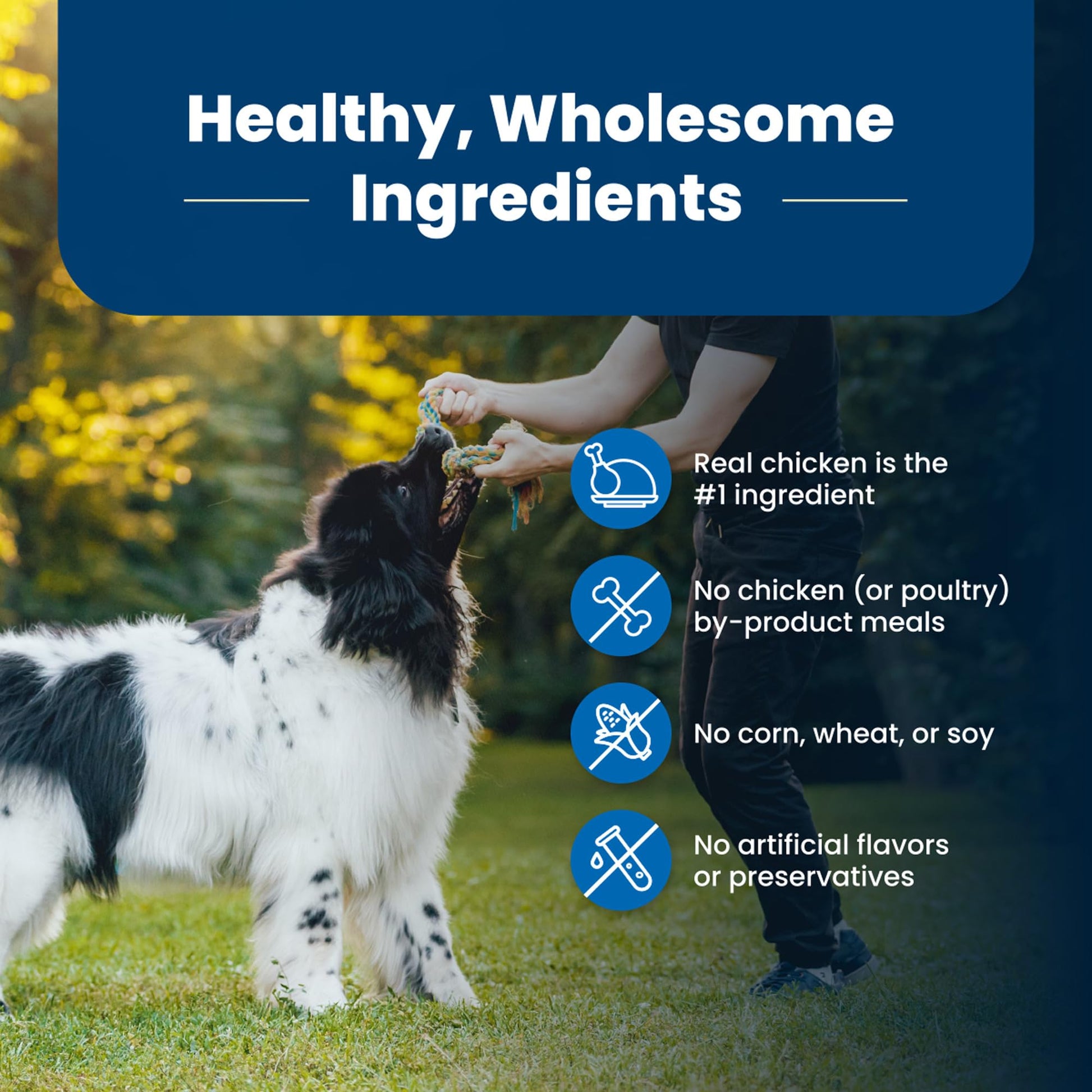 Blue Buffalo Dog Food – 30 lb – Chicken & Brown Rice Supports Strong Muscles · Natural Ingredients
