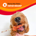 Good ‘n’ Fun Triple Flavor Rolls – 6 Count Beef Hide · Chicken · Pork Flavor · Long-Lasting Chew