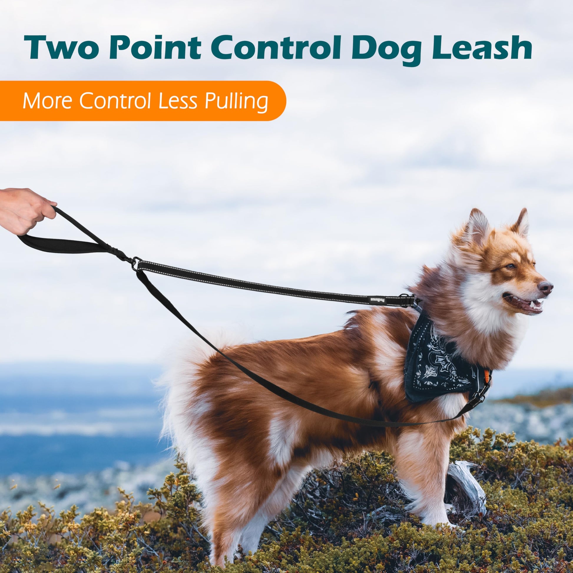PetBonus Two-Point Control Dog Leash – No-Tangle Reflective Lead for Medium & Large Dogs (Black)