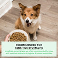 Open Farm Dog Food – 11 lb – Grass-Fed Beef & Grains 90% Animal Protein · Non-GMO Superfoods