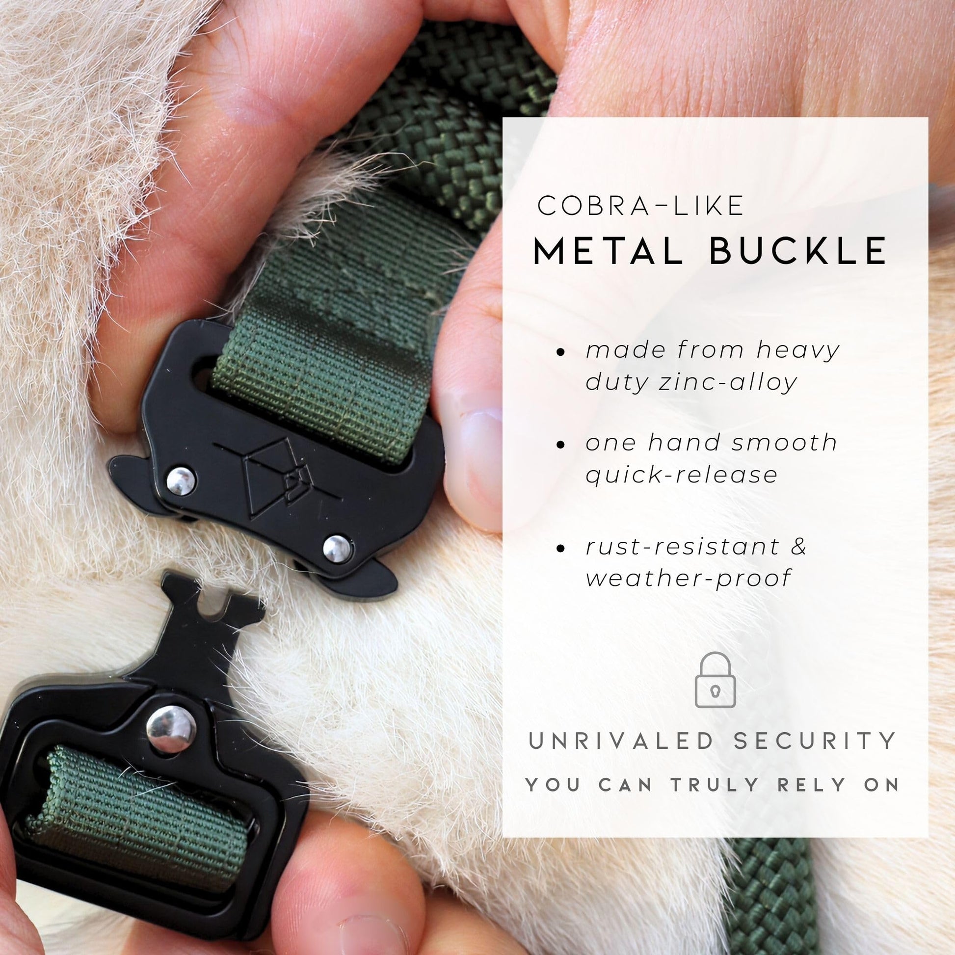 Made to ROAM Explorer Dog Collar – Heavy-Duty Nylon with Handle & Metal Buckle (Size 4, Afterlight)