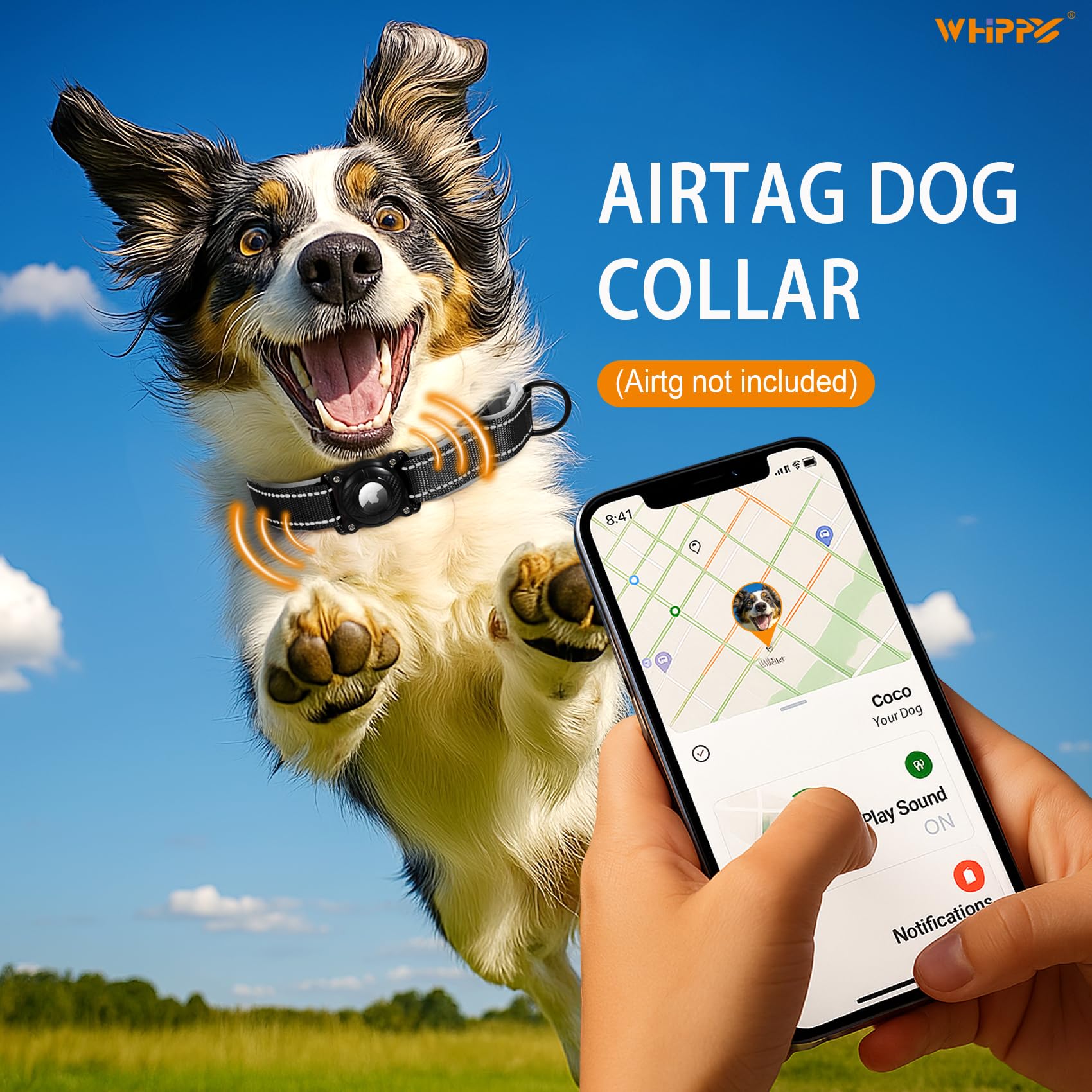 Airtag Dog Collar – Waterproof Reflective Martingale Collar with Padded Nylon & Holder