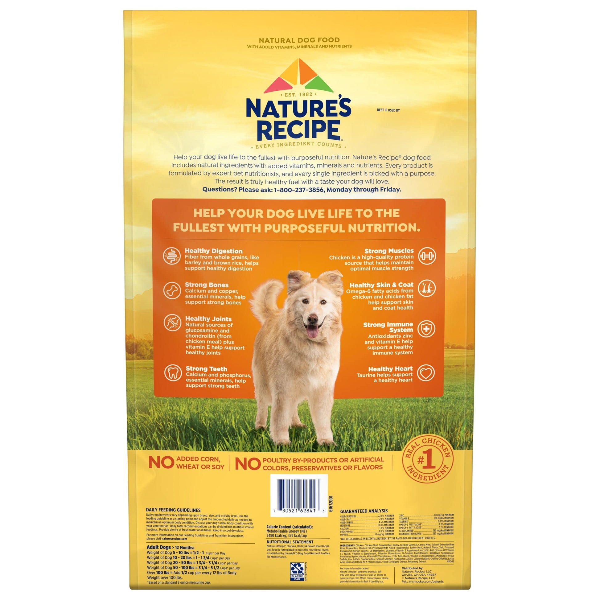 Nature′s Recipe Chicken, Barley & Brown Rice Recipe Dry Dog Food, 24 lb. Bag
