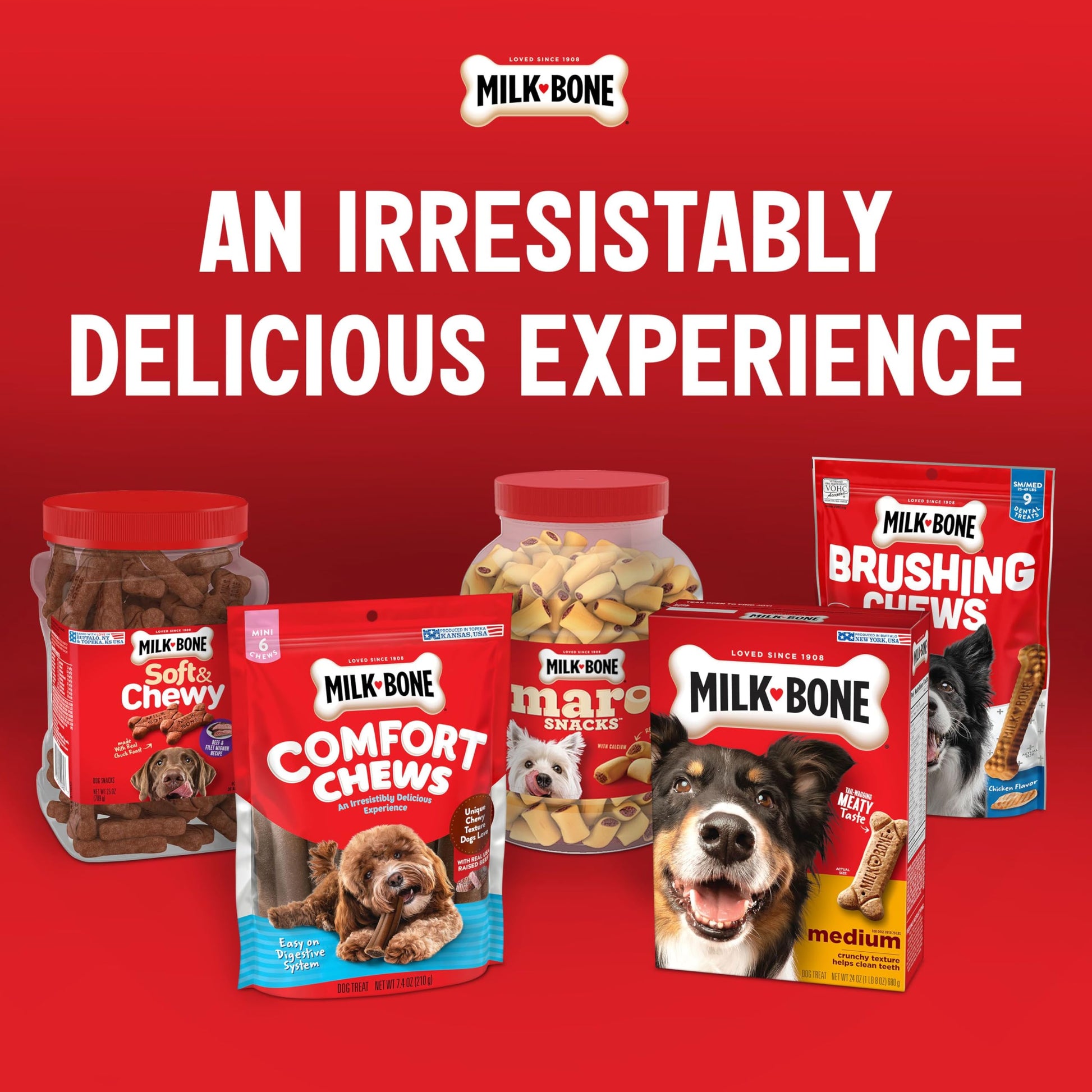Milk-Bone Original Dog Treats Biscuits for Large Dogs, 10 Pounds (Packaging May Vary)