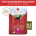 Purina ONE Dry Dog Food Lamb and Rice Formula - 31.1 lb. Bag