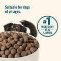 Nutrish Grain Free Dry Dog Food, Salmon & Sweet Potato Recipe, 23 lb. Bag (Rachael Ray)