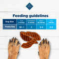Blue Buffalo Nudges Grillers Natural Dog Treats, Made in the USA with Real Steak, 16-oz Bag