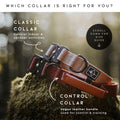 Made to ROAM Explorer Dog Collar – Heavy-Duty Nylon with Handle & Metal Buckle (Size 4, Afterlight)