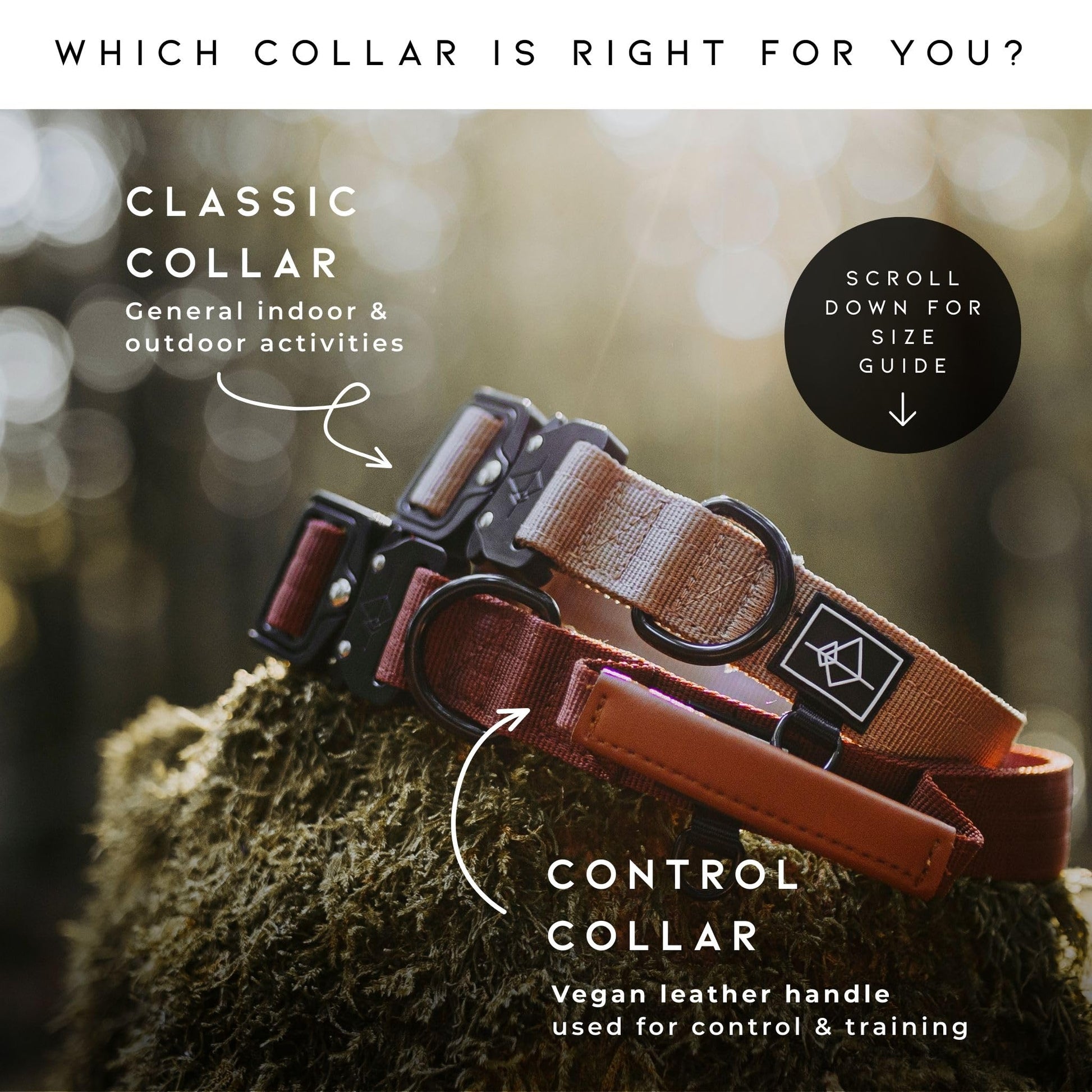 Made to ROAM Explorer Dog Collar – Heavy-Duty Nylon with Handle & Metal Buckle (Size 4, Afterlight)