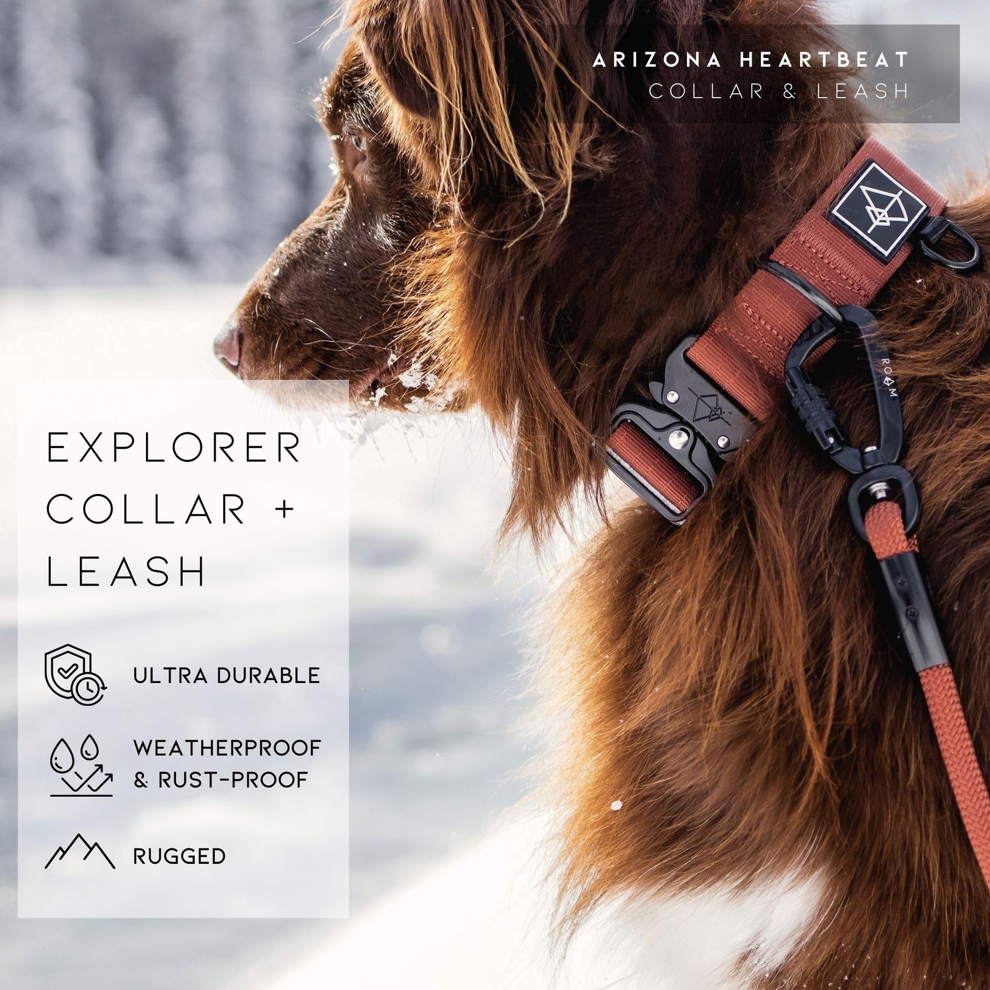 Made to ROAM Explorer Dog Collar – Heavy-Duty Nylon with Handle & Metal Buckle (Size 4, Afterlight)