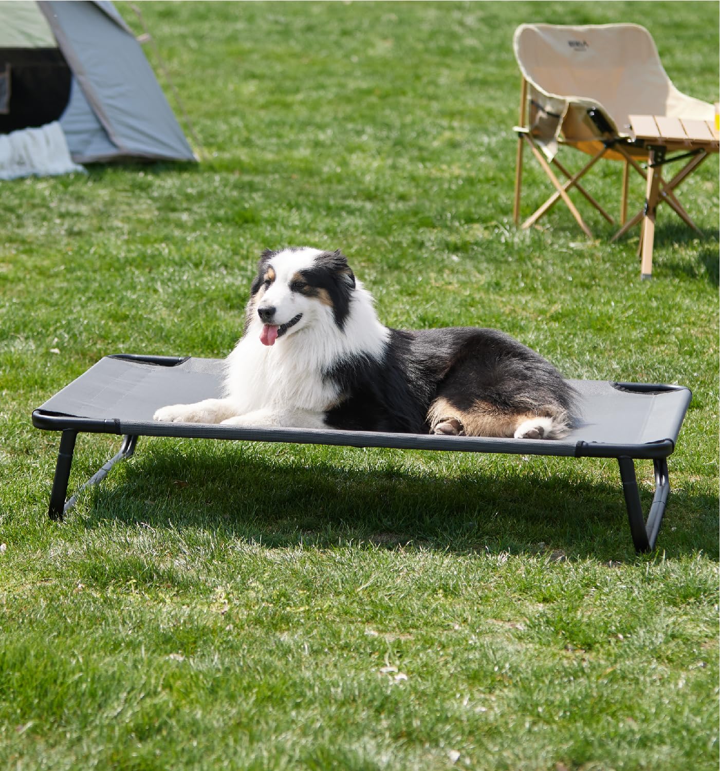 Made4Pets Dog Bed – Large 42”x28” – Elevated & Cooling Chew-Resistant · Washable Mesh · Indoor/Outdoor Use
