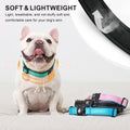 Airtag Dog Collar – Waterproof Reflective Martingale Collar with Padded Nylon & Holder