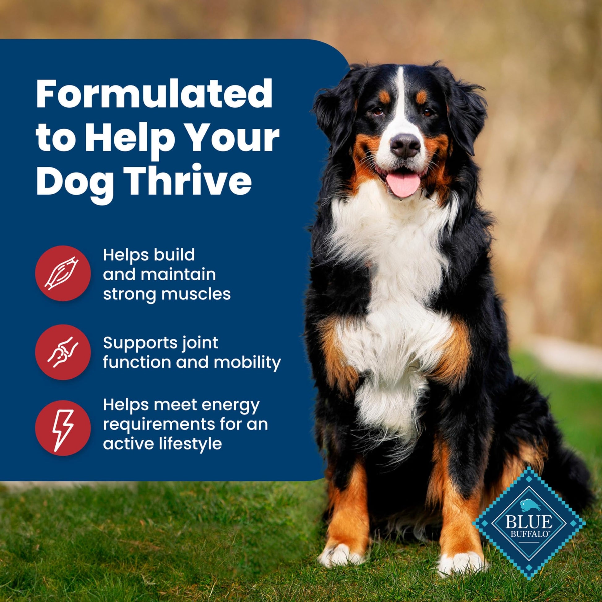 Blue Buffalo Dog Food – 5 lb – Beef & Brown Rice Supports Strong Muscles · Natural Ingredients